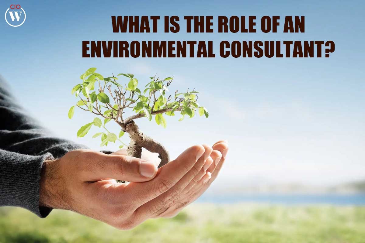 What is the Role of an Environmental Consultant?