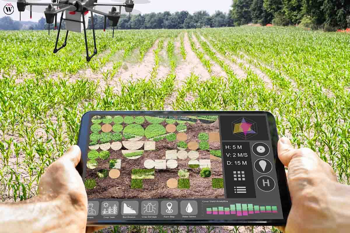 13 Best Examples of AI in Agriculture | CIO Women Magazine