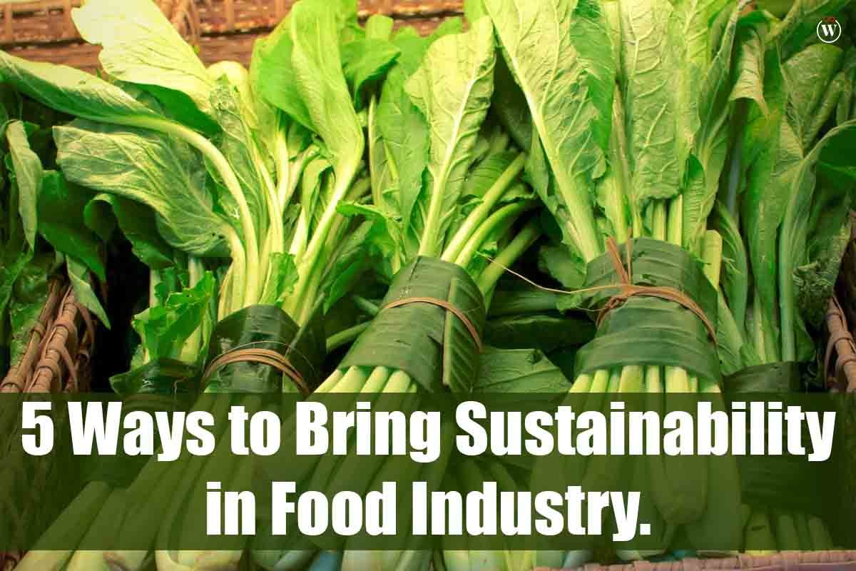Best 5 Ways to Bring Sustainability in Food Industry | CIO Women Magazine