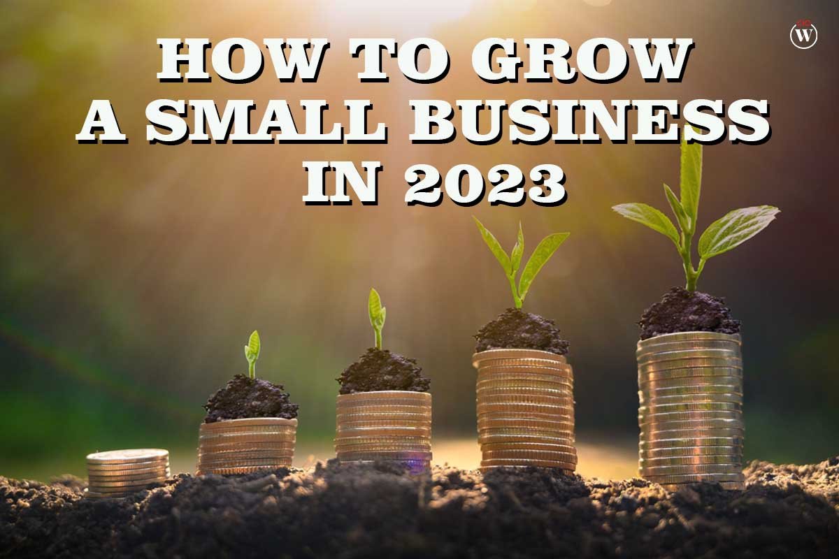 10 Badass tips To Grow A Small Business In 2023 | CIO Women Magazine