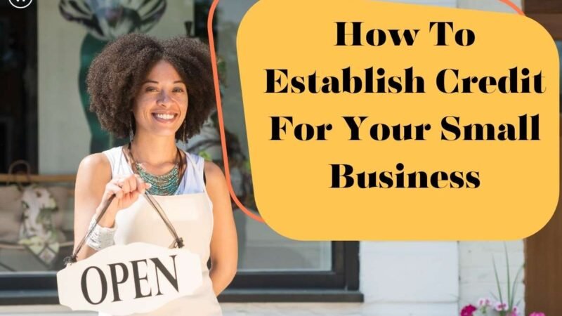 Best 10 steps To Establish Credit For Your Small Business? | CIO Women Magazine