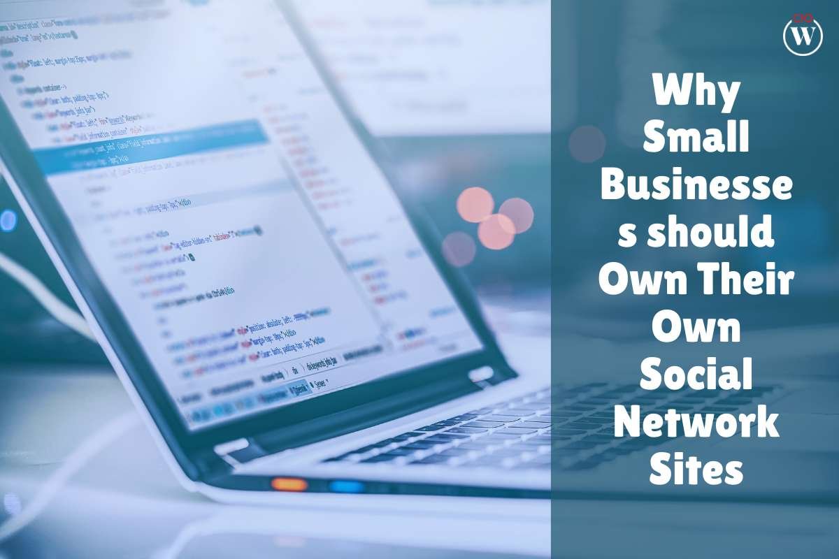 Why Small Businesses Should Own Their Own Social Network Sites?