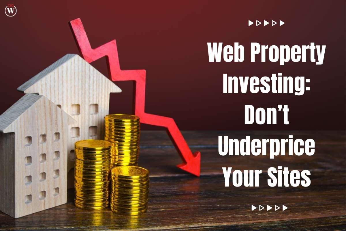 7 important factors for Web Property Investing: Don’t Underprice Your Sites | CIO Women Magazine