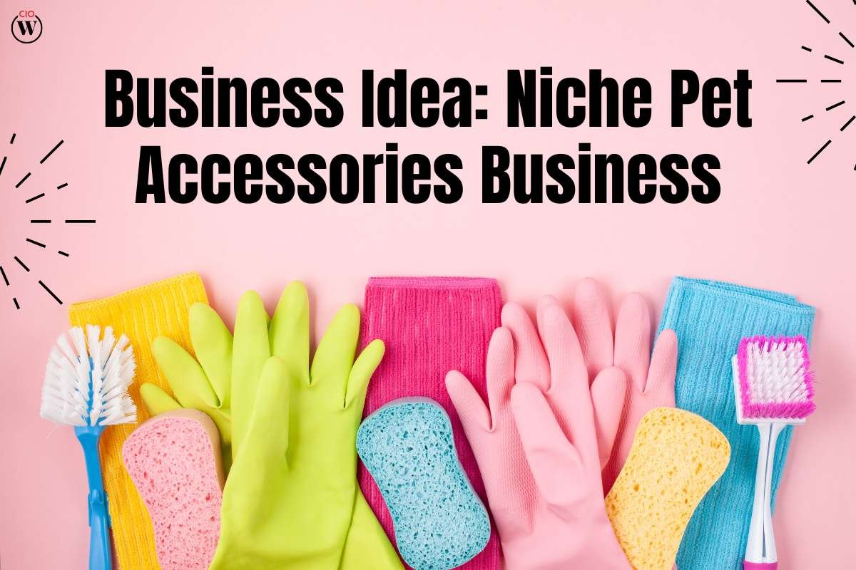 Niche Pet Accessories Business: 5 Creative Business Idea | CIO Women Magazine