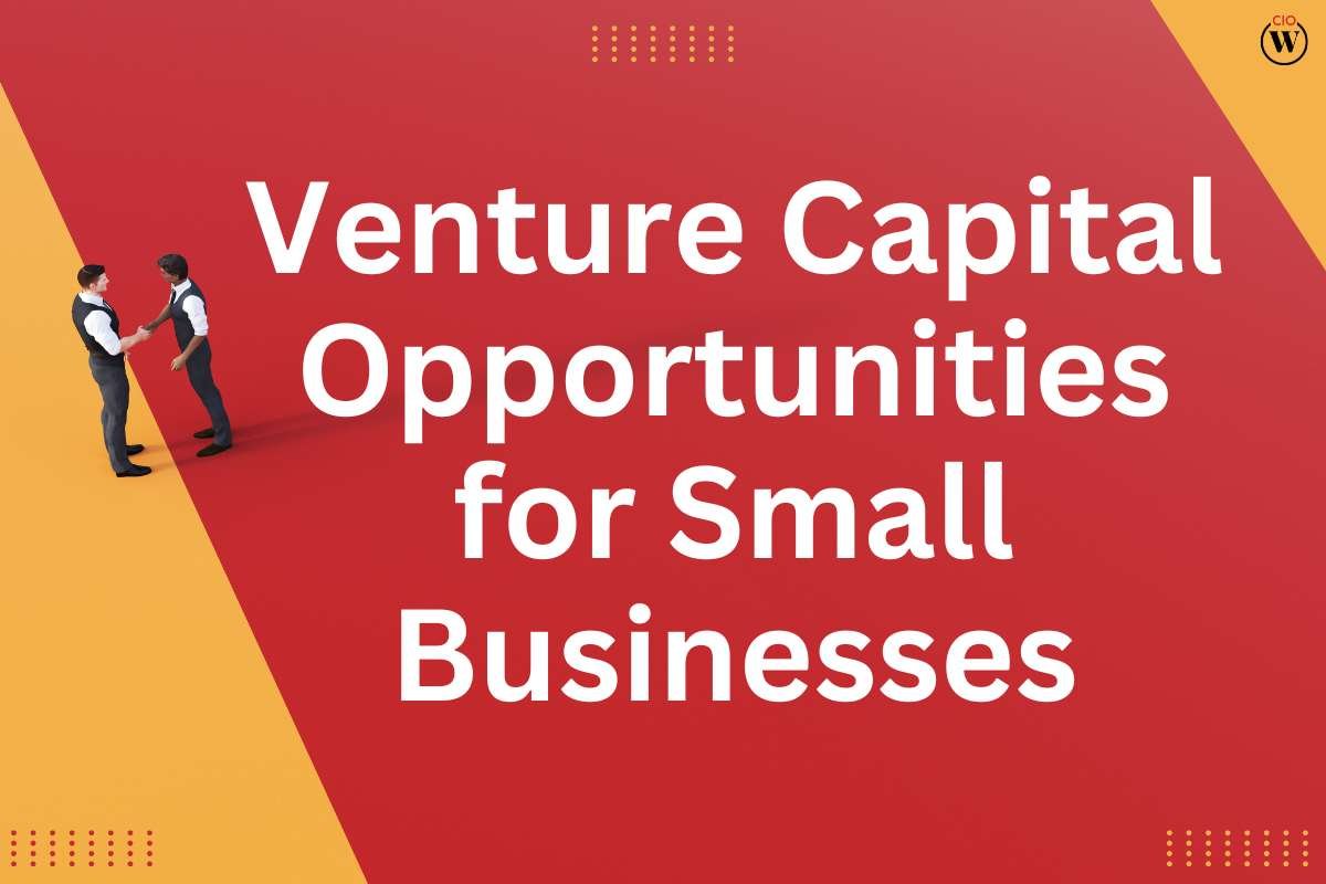 6 Venture Capital Opportunities for Small Businesses | CIO Women Magazine
