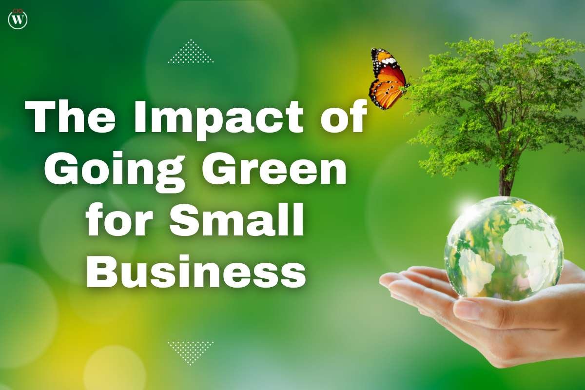 The Full Impact of Going Green for Small Business 2023 | CIO Women Magazine