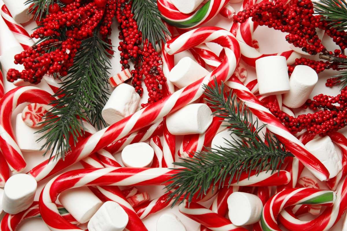 15 Creative Christmas Holiday Themes for 2025 | CIO Women Magazine