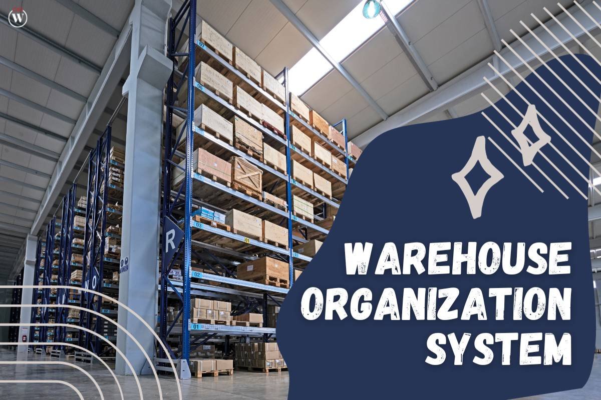 All You Need to Know about a Warehouse Organization System