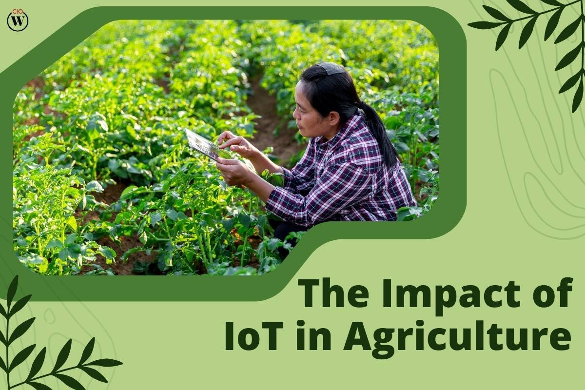 The Impact of IoT in Agriculture: 5 Benefits and Applications | CIO Women Magazine