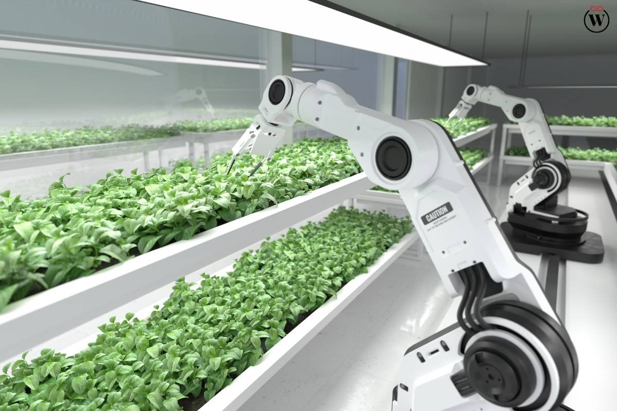 15 Disadvantages of Automated Farming: Balancing Efficiency with Environment | CIO Women Magazine