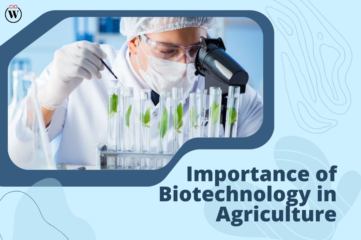 Harnessing the Power: The Importance of Biotechnology in Agriculture