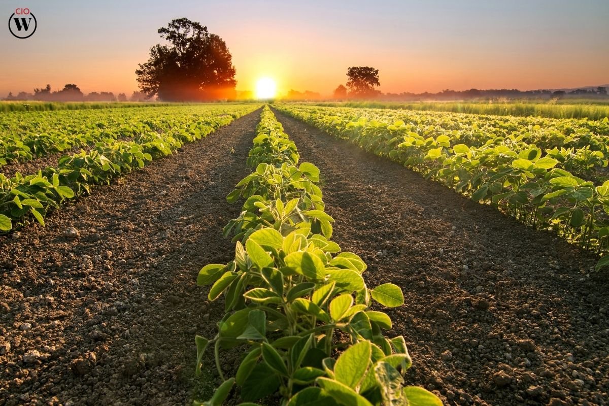 The Importance of Biotechnology in Agriculture | CIO Women Magazine