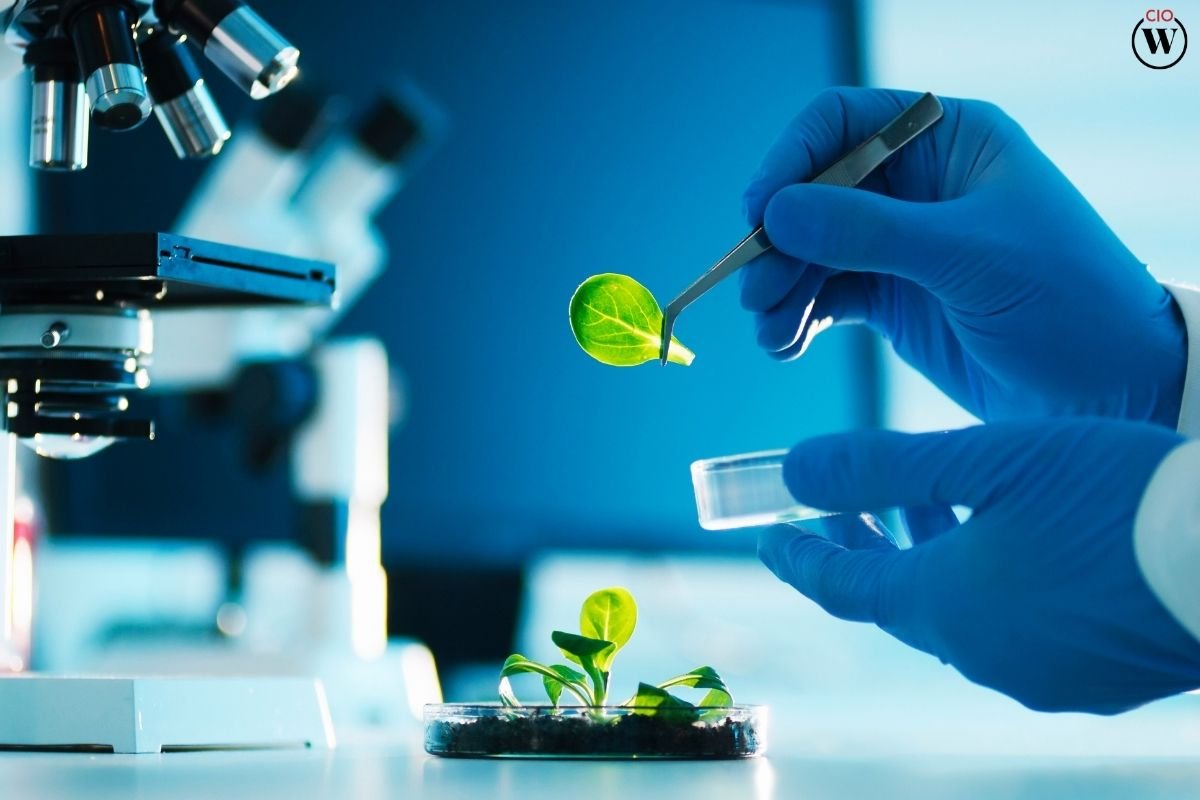 The Importance of Biotechnology in Agriculture | CIO Women Magazine
