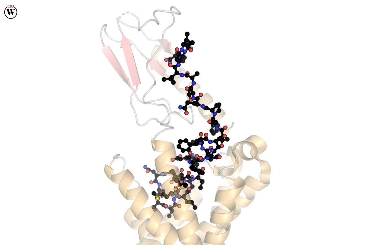 Drugs for Osteoporosis: Types, Mechanisms and Side Effects | CIO Women Magazine