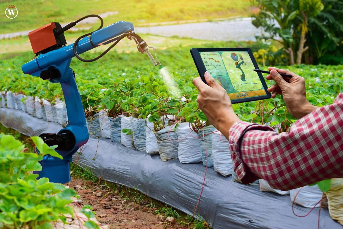 Case Studies of AI in Agriculture: Smart Farming Solutions | CIO Women Magazine