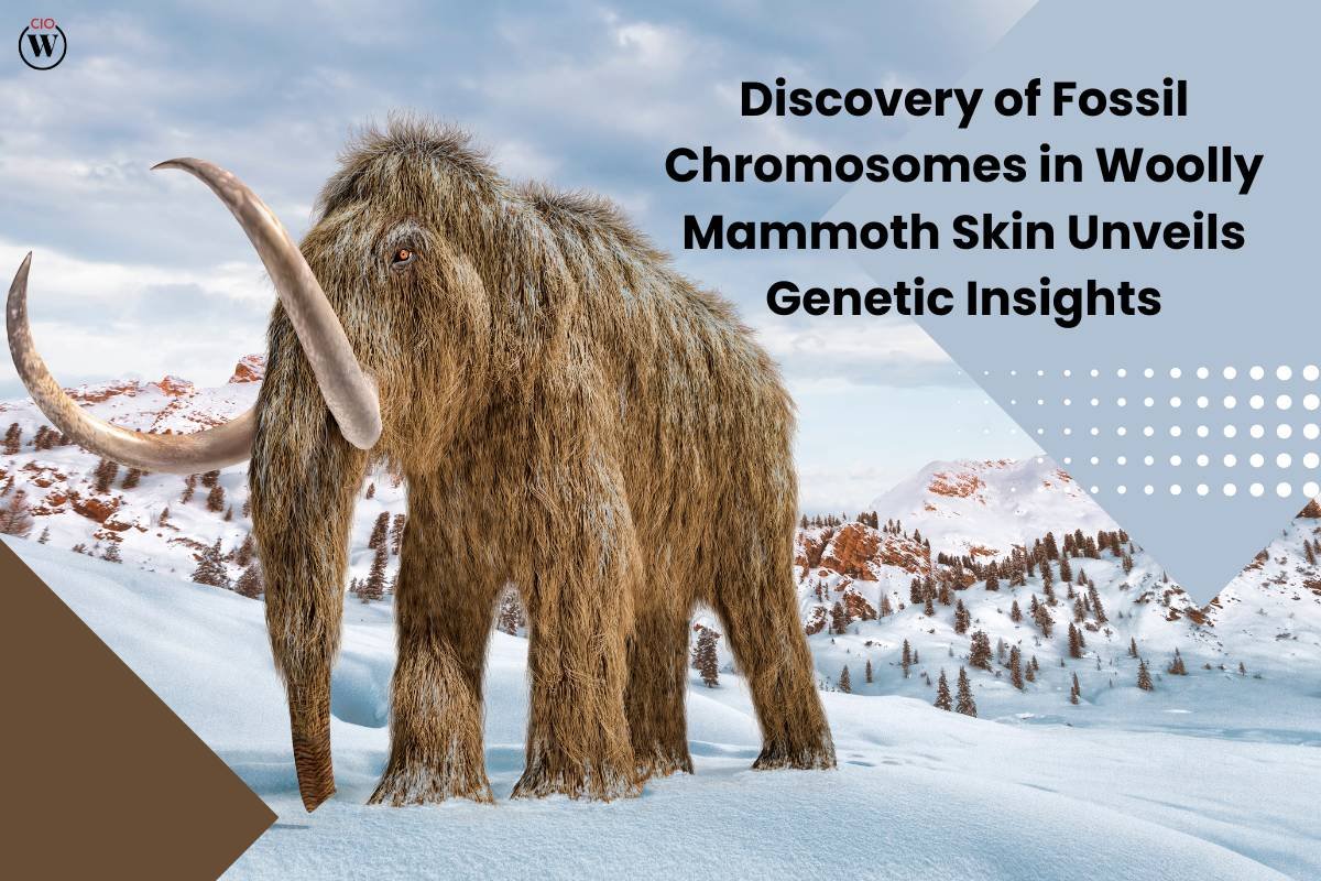 Discovery of Fossil Chromosomes in Woolly Mammoth Skin Unveils Genetic Insights