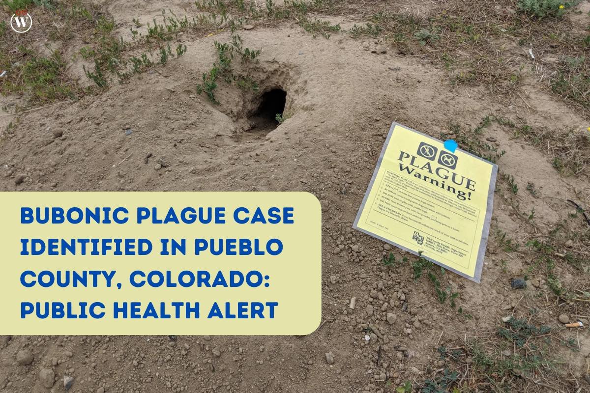 Bubonic Plague Case Identified in Pueblo County, Colorado: Public Health Alert