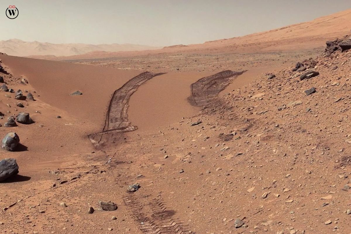 Perseverance Rover's Rock Find Sparks Interest in Martian Life | CIO Women Magazine