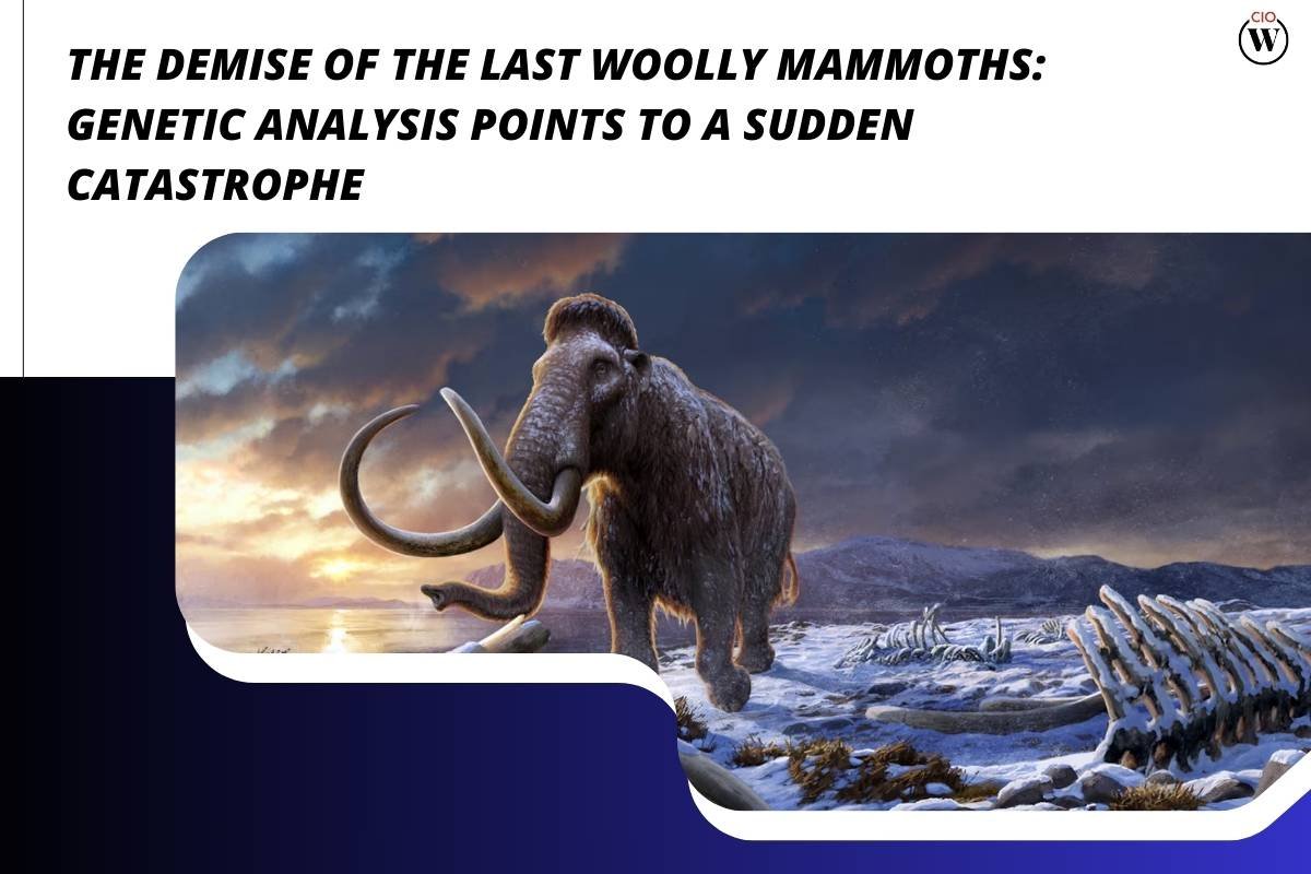 The Demise of the Last Woolly Mammoths: Genetic Analysis Points to a Sudden Catastrophe