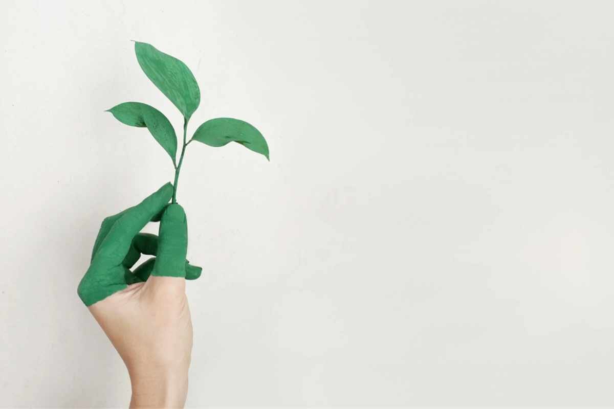 How To Ensure Your Business Is Green Friendly?