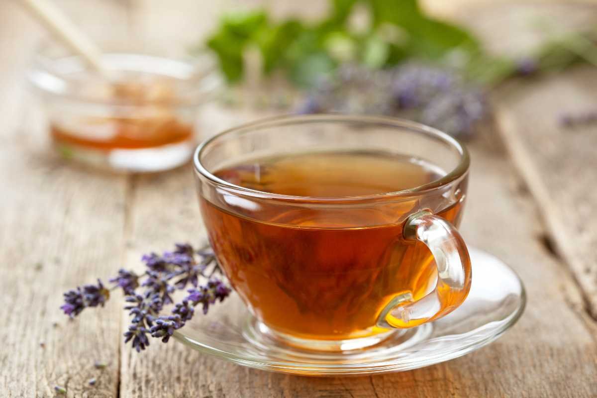 6 Best Herbal Teas for Anxiety That You Can Try Today | CIO Women Magazine 