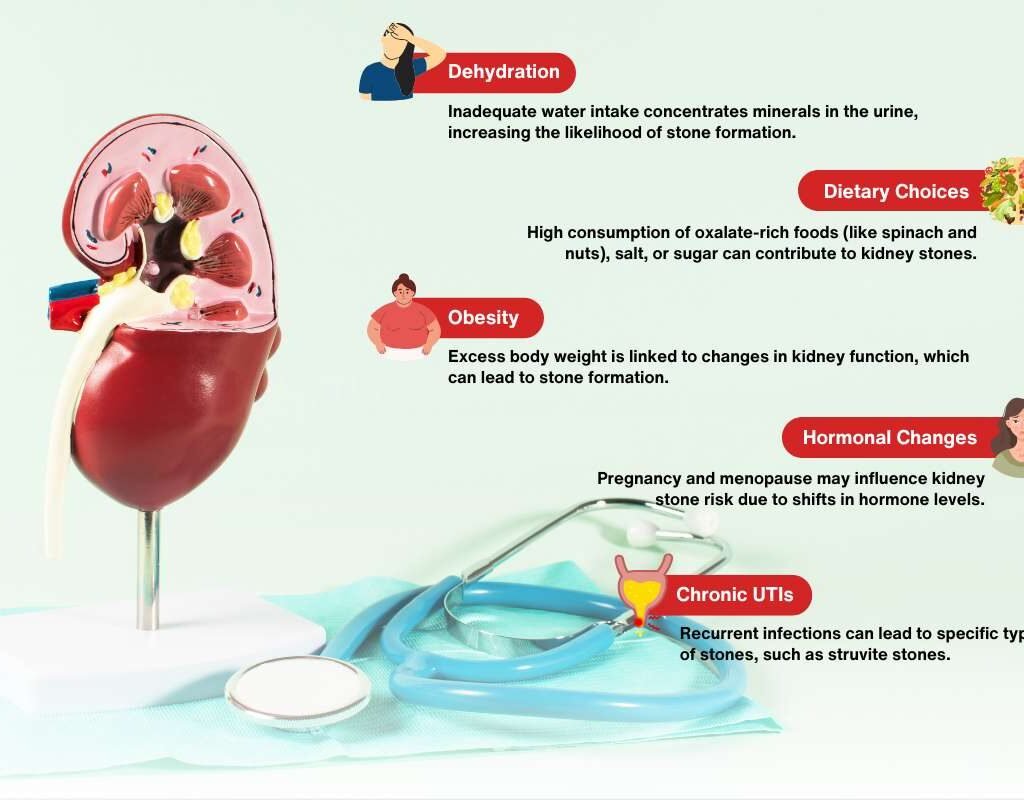 Kidney Stones Symptoms in Women: What You Need to Know? | CIO Women Magazine