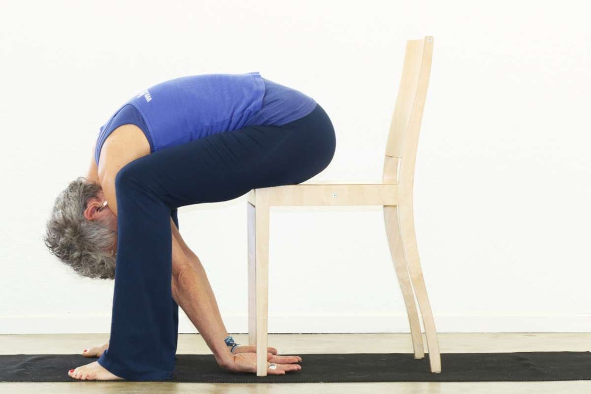 Free Chair Yoga for Seniors: A Gentle Path to Wellness | CIO Women Magazine