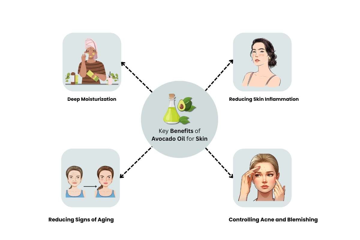 Avocado Oil for Skin and Why It Works Wonders | CIO Women Magazine