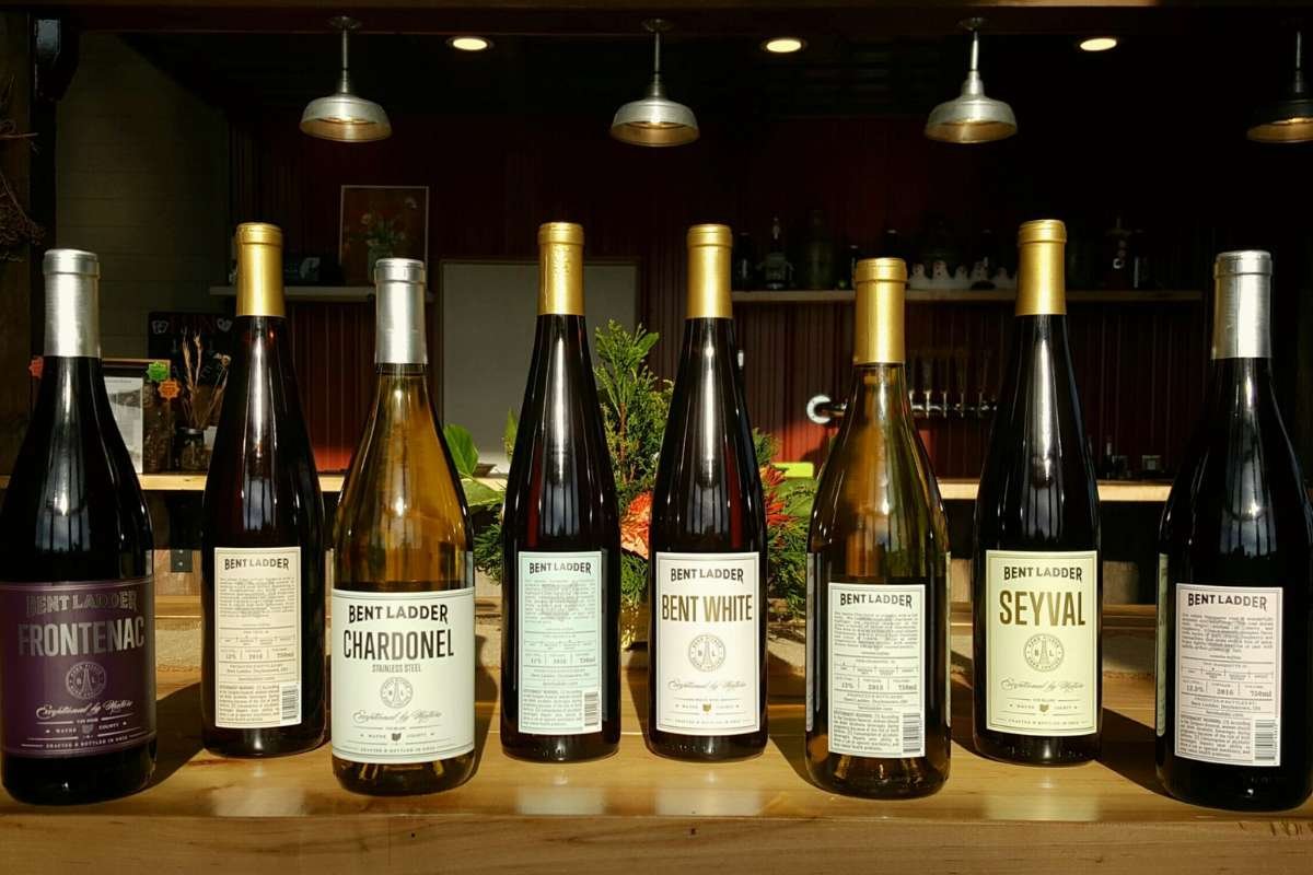 Top 6 Wine Brand Mistakes to Avoid When Launching Your Business | CIO Women Magazine