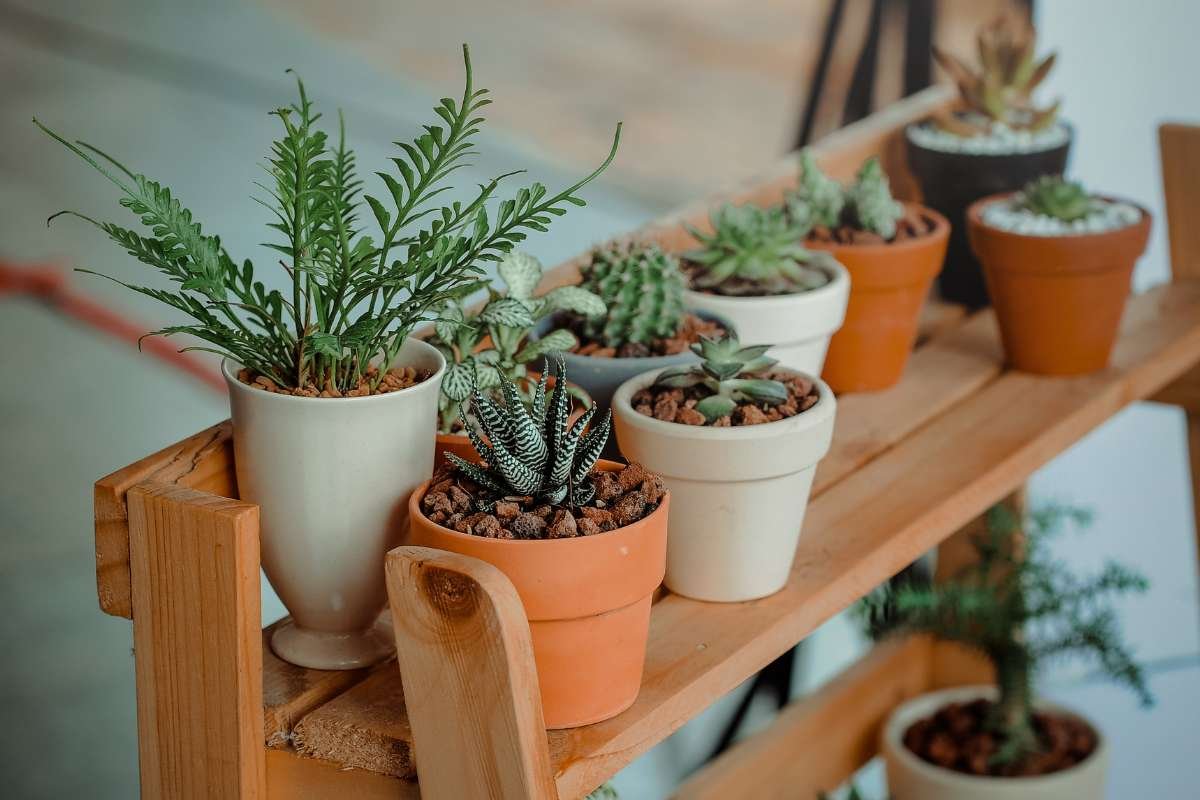 Top Office Reception Tips for Making a Strong First Impression | CIO Women Magazine