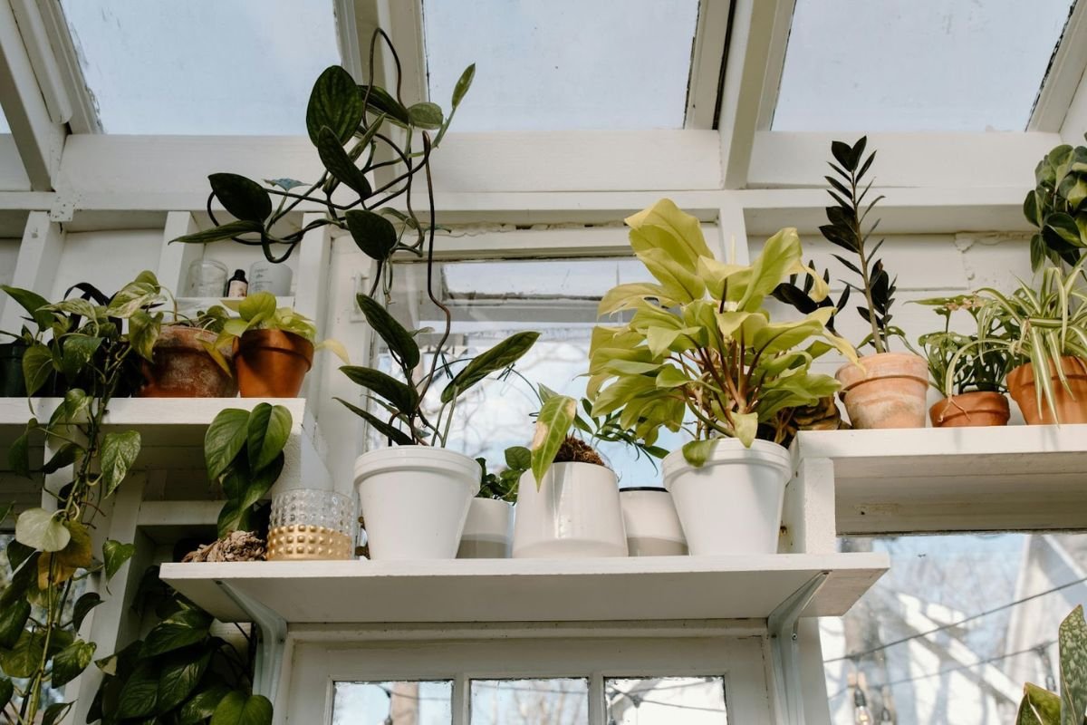Smart Plant Sensors to Keep Your Green Space Thriving | CIO Women Magazine