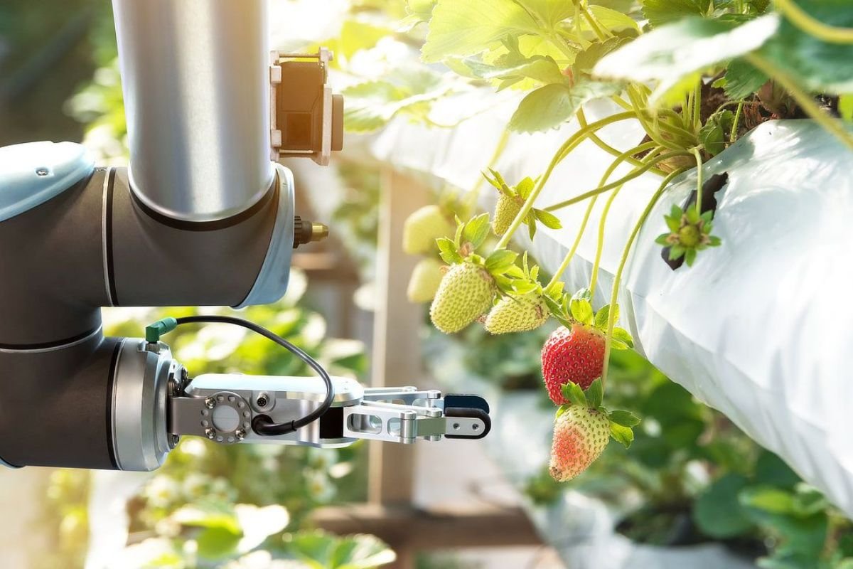 Smart Plant Sensors to Keep Your Green Space Thriving | CIO Women Magazine