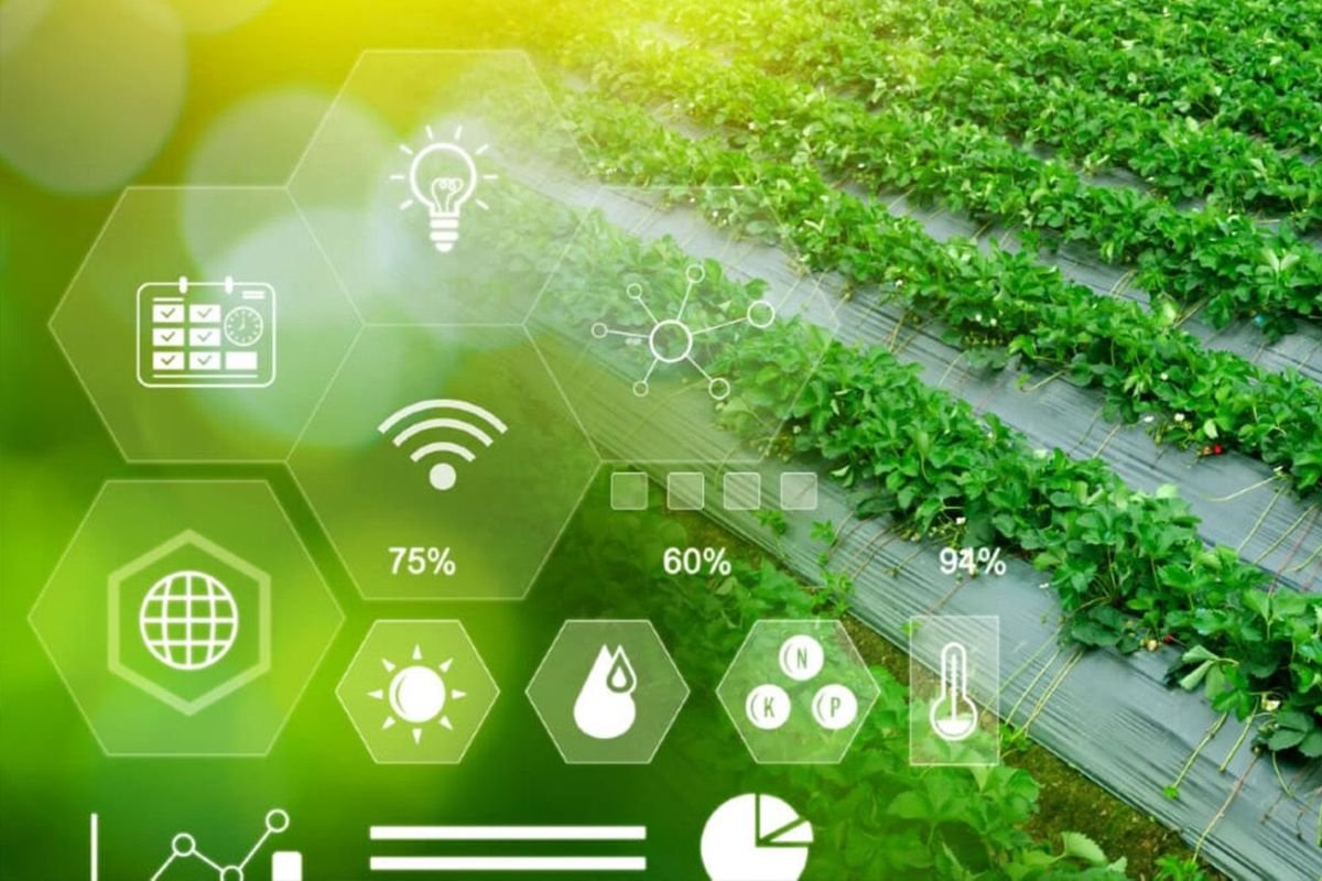 Smart Plant Sensors to Keep Your Green Space Thriving | CIO Women Magazine