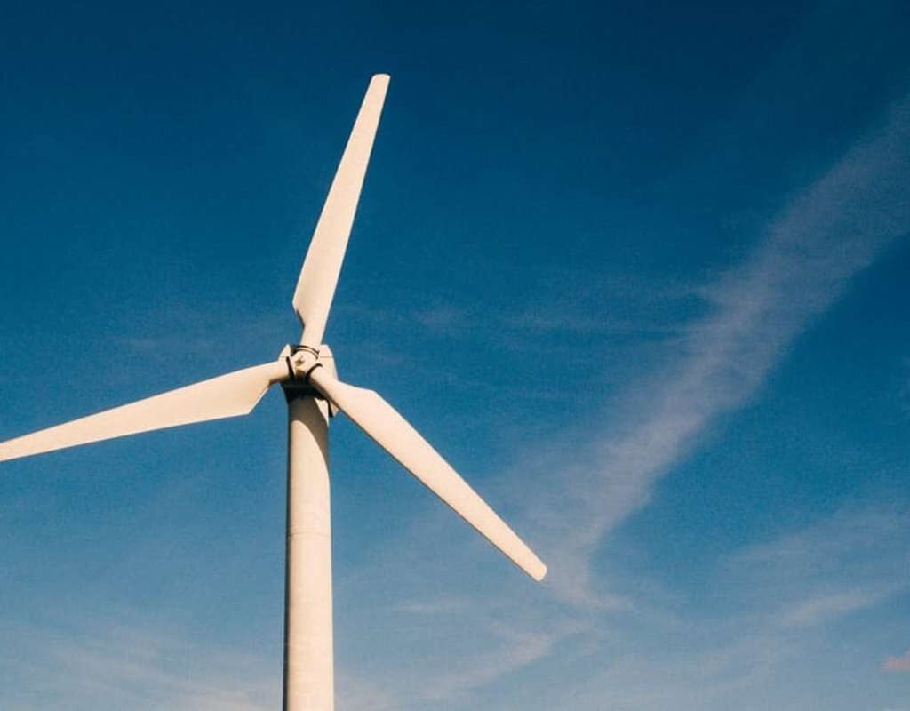 7 Ways to Make Your Business Greener and Save Costs | CIO Women Magazine