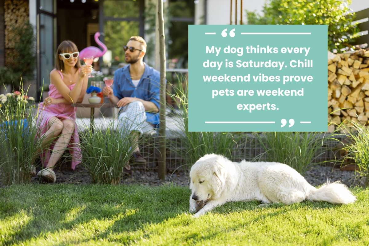 100 Happy Saturday, Funny Quotes for Chill Weekend Vibes | CIO Women Magazine