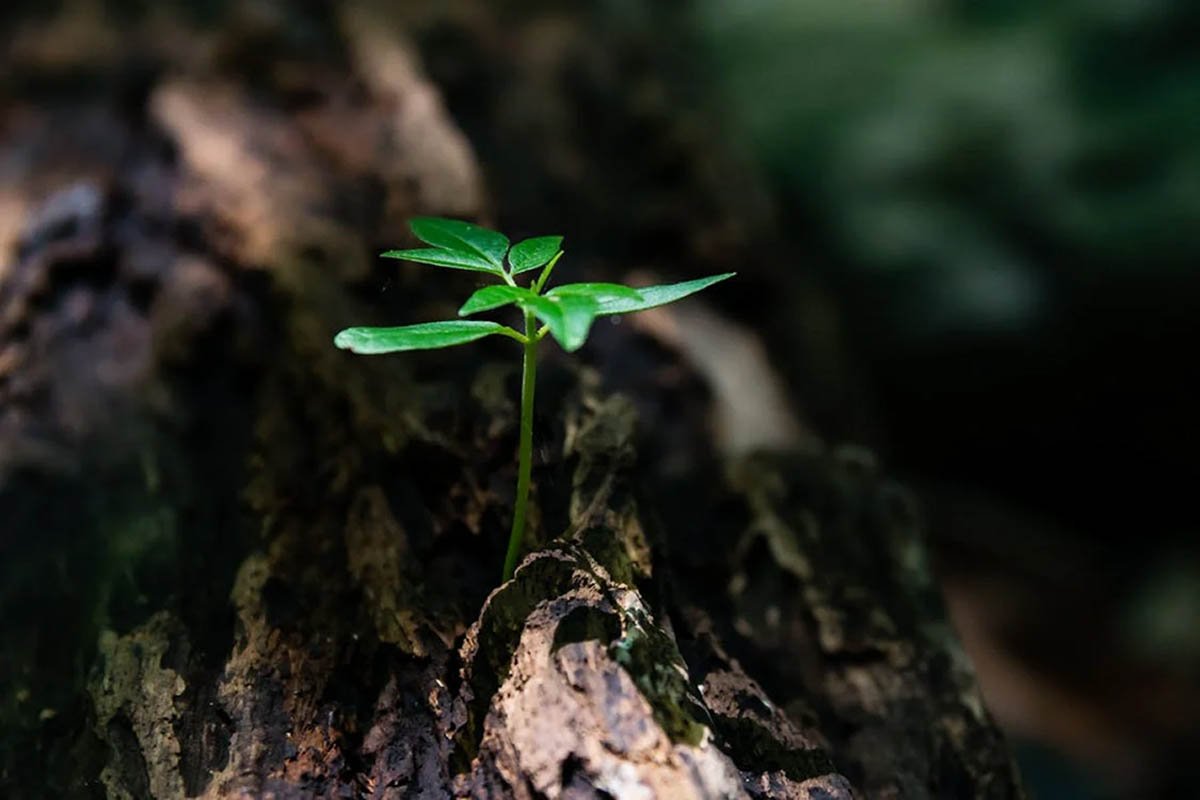 Are You Ready For A New Business Adventure? 3 Important Things | CIO Women Magazine