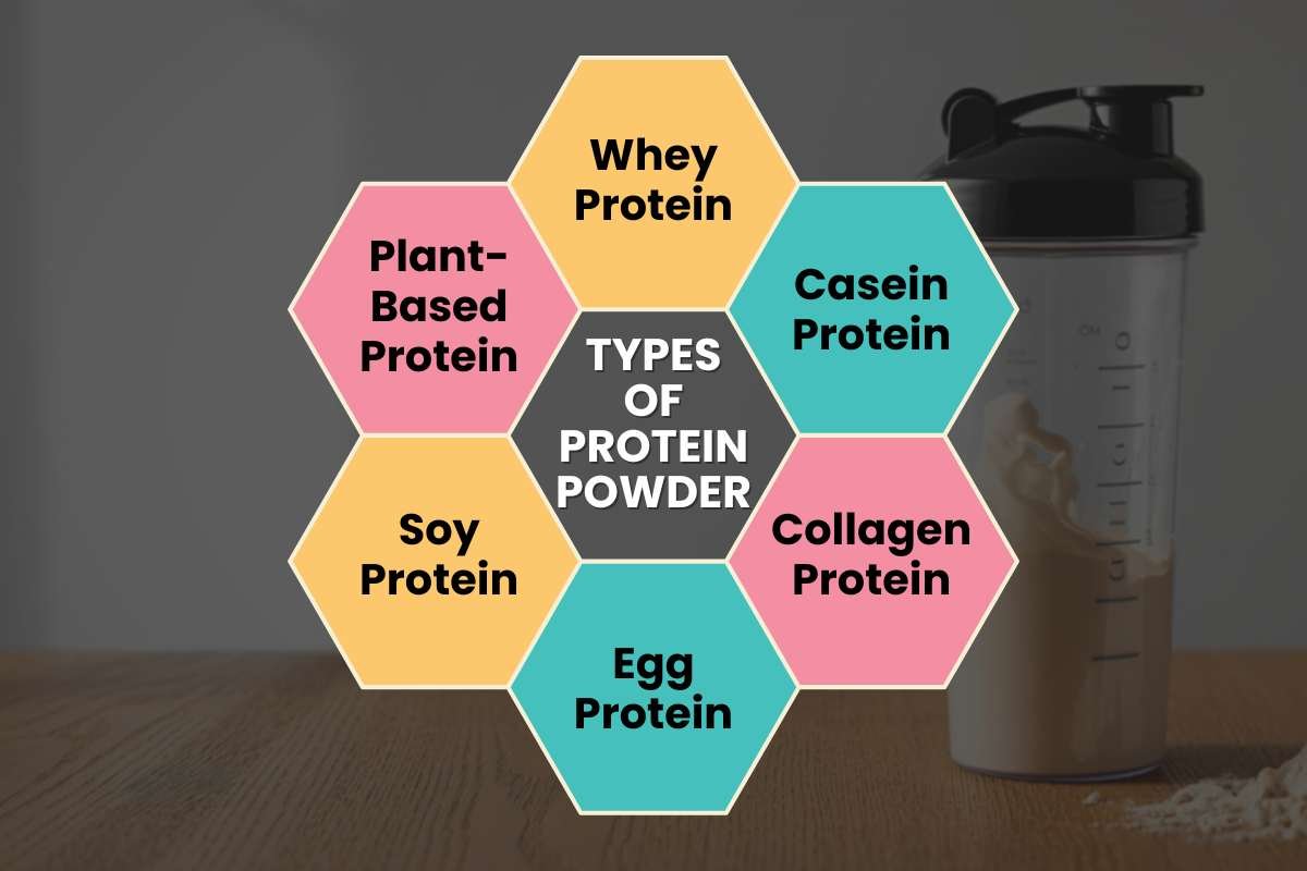 Top 15 Best Protein Supplement for Women in 2025 | CIO Women Magazine