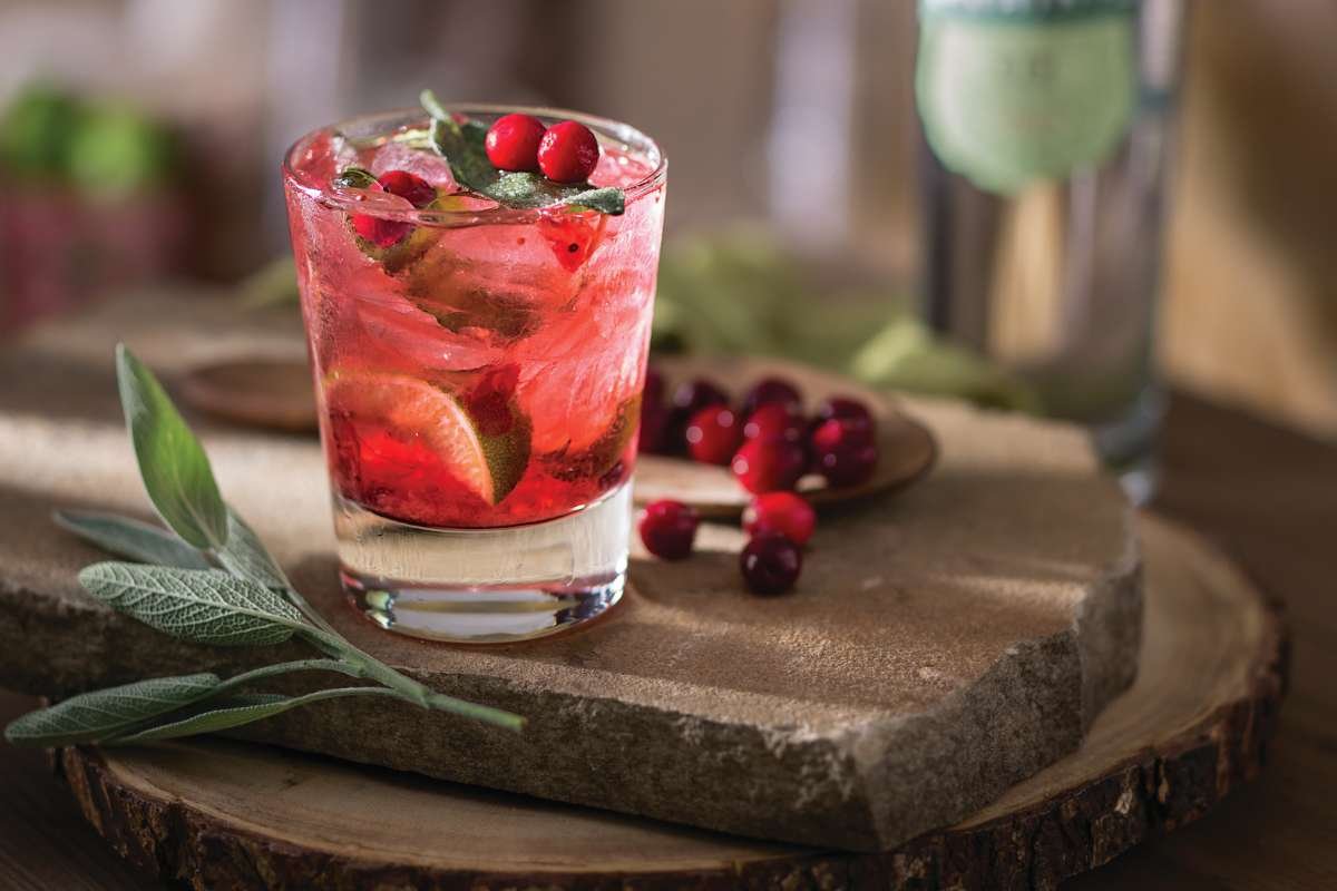 45 Easy Christmas Cocktail Drinks for Every Occasion | CIO Women Magazine