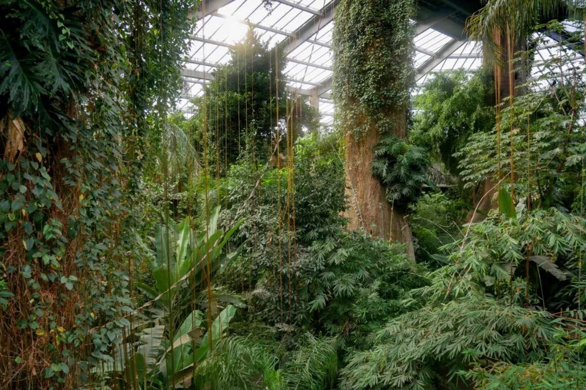 Top 5 Largest Zoo in the World | CIO Women Magazine