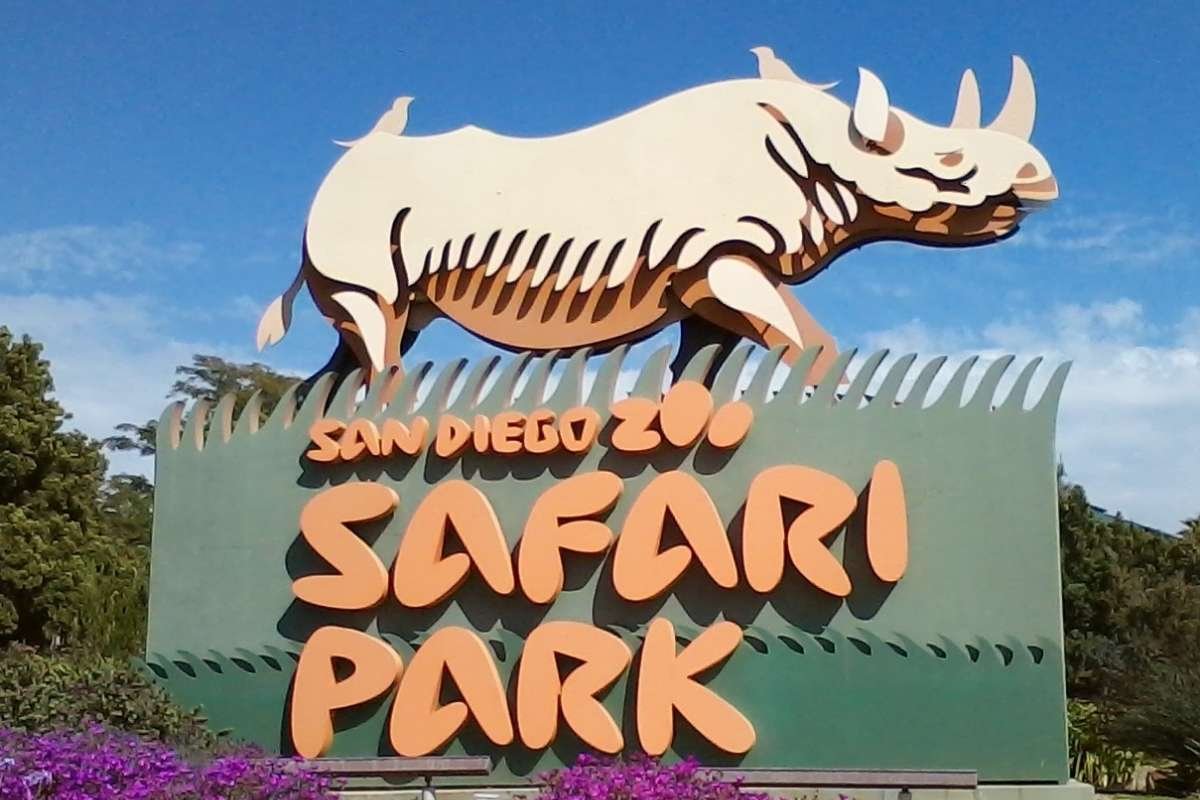 San Diego Zoo Safari Park | CIO Women Magazine