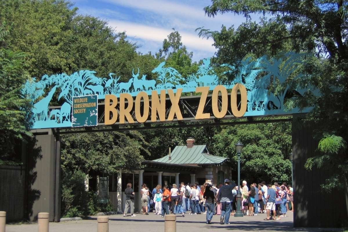 Bronx Zoo | CIO Women Magazine
