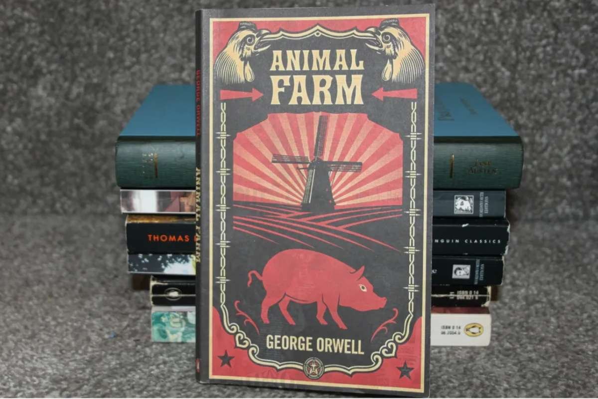 25 Best Novel Quotes That Will Inspire and Intrigue You | CIO Women Magazine