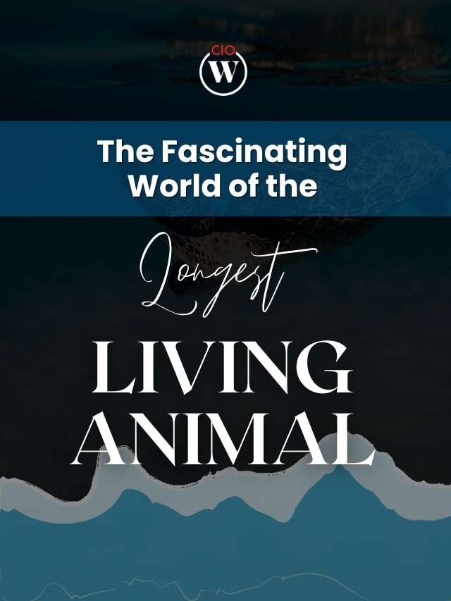 The Fascinating World of the Longest Living Animal