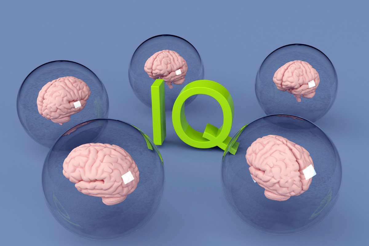 Highest IQ Ever Recorded and the Science behind Extreme Intelligence