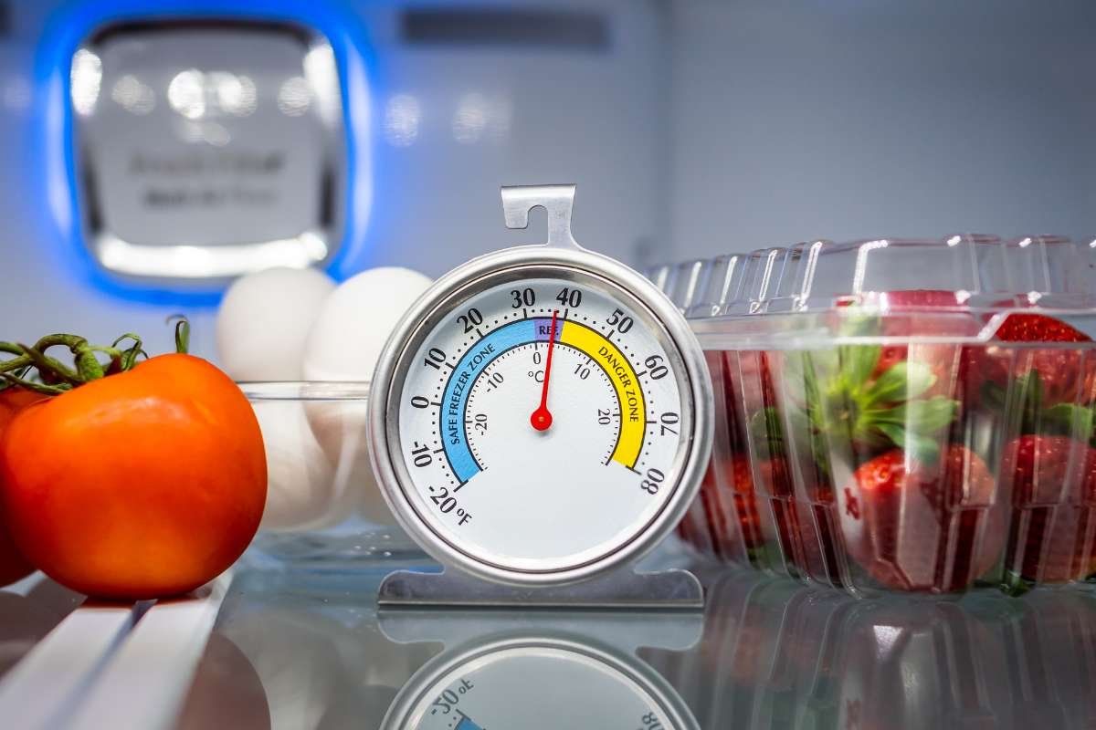 How to Measure the Right Temperature for Your Refrigerator and Freezer? | CIO Women Magazine