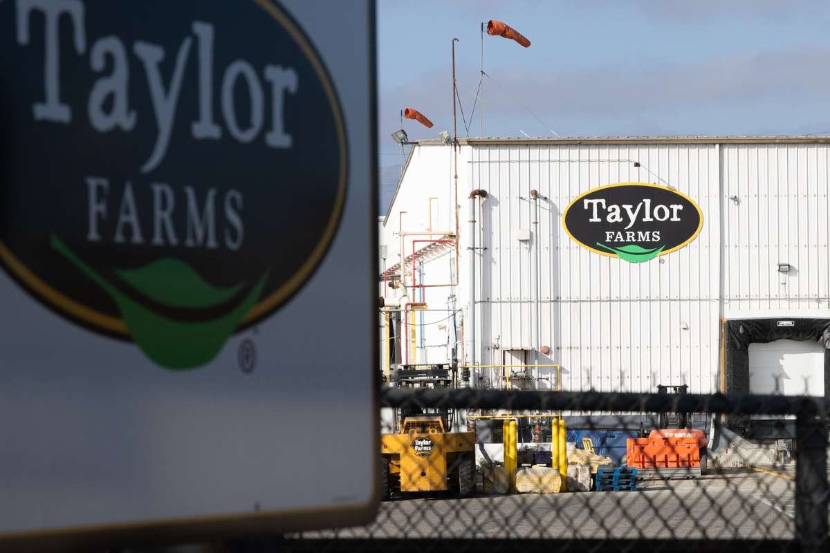 Taylor Farms Expands Lettuce Recall as Cyclospora Outbreak Investigation Continues | CIO Women Magazine