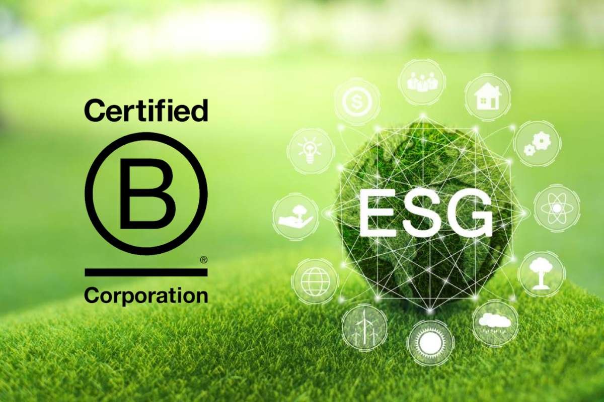 B Corp Certification vs ESG Reporting: Which Is Right? | CIO Women Magazine