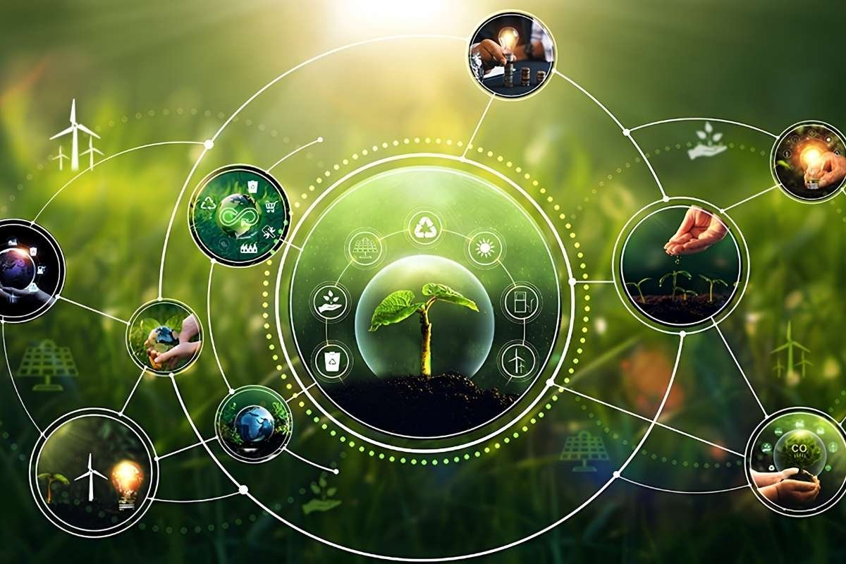 Circular Economy Business Models: 7 Proven Strategies to Reduce Costs, Cut Waste, and Drive Sustainable Growth