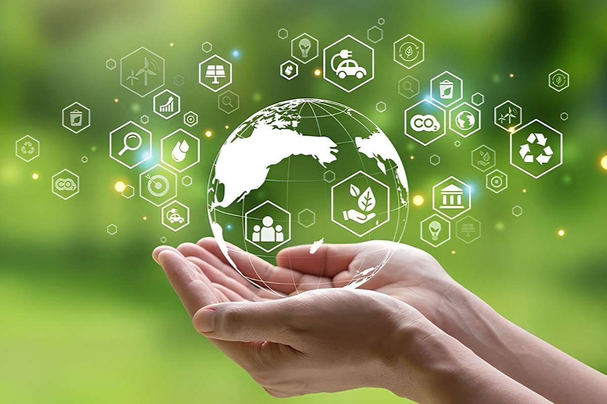 Sustainability Strategy for Your Company: A Step-by-Step Guide to Long-Term Growth