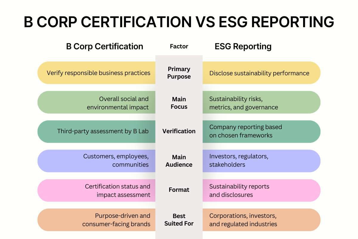 B Corp Certification vs ESG Reporting: Which Is Right? | CIO Women Magazine